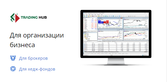 Проект Trading Hub — отзывы, разоблачение