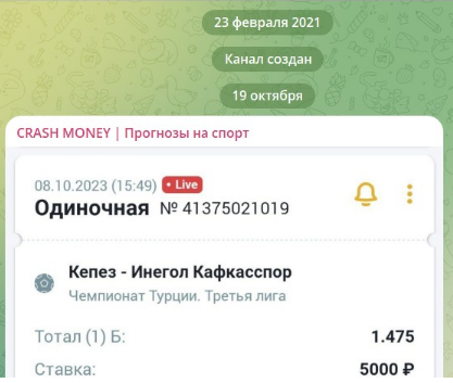 Телеграмм-канал CRASH MONEY | Прогнозы на спорт — отзывы, разоблачение