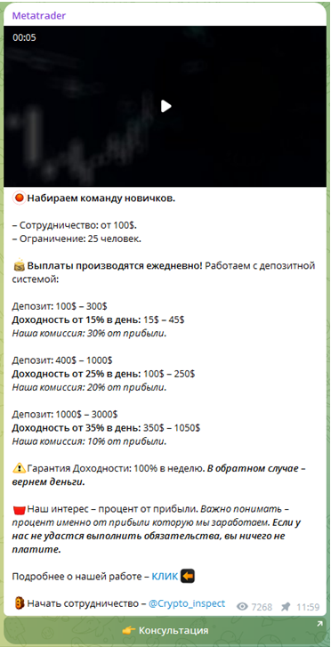 Телеграмм-канал Metatrader — отзывы, разоблачение