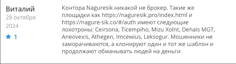 Проект Naguresik — отзывы, разоблачение