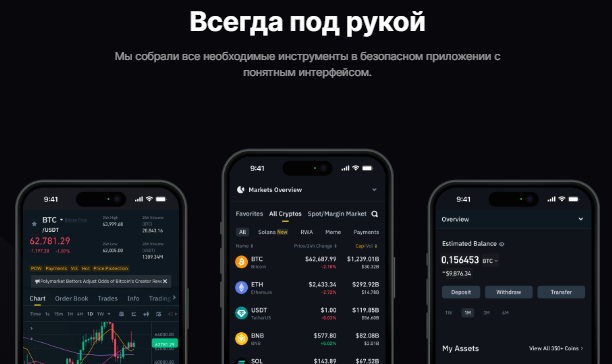 Проект Eylji — отзывы, разоблачение