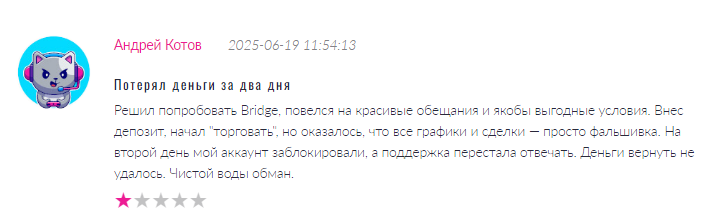 Проект Bridge — отзывы, разоблачение