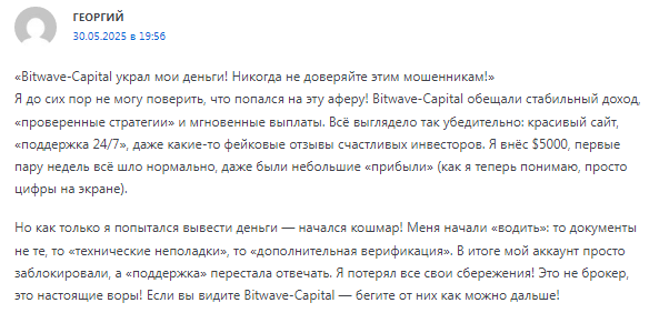 Проект Bitwave Capital — отзывы, разоблачение